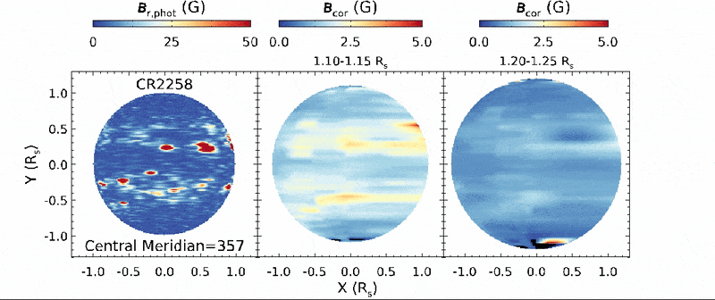 Movie from Yang et al. 2024 Shows the variation of magnetic field strength with height from the photosphere in HMI (left) into the low corona from UCOMP. Active longitudes are visible in the movie.