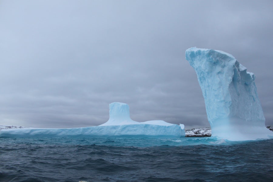 Icebergs.