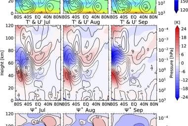 interhemisphere coupling simulated by WACCM6