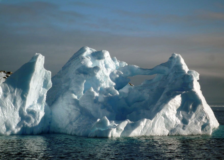 Iceberg with an arch.