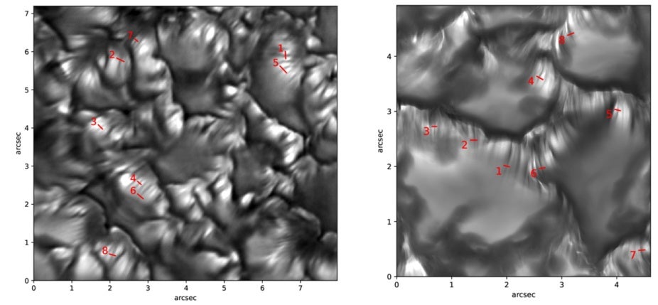 DKIST-MURaM observations