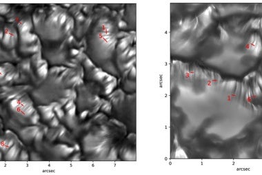 DKIST-MURaM observations